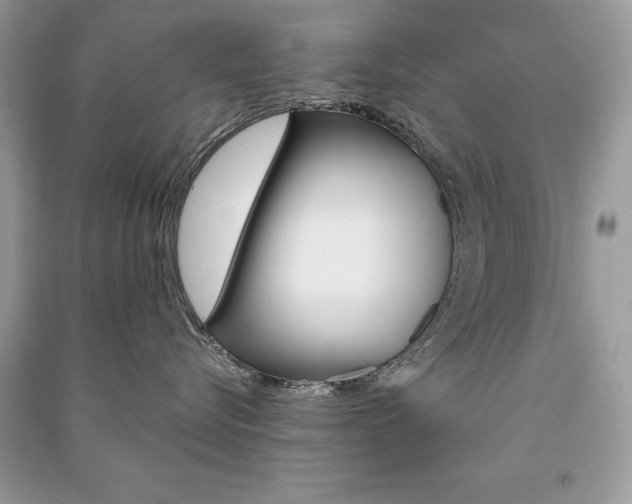 X0000091180576200708091048