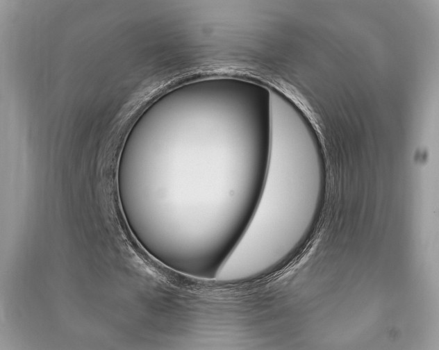 X0000091180577200708091048