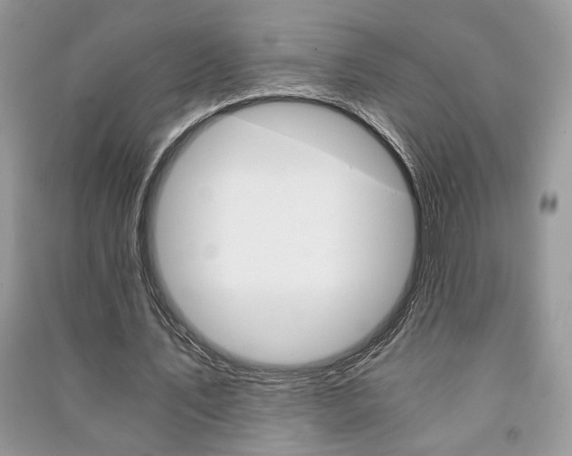 X0000091180579200708091048
