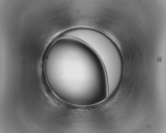 X0000091180580200708091048