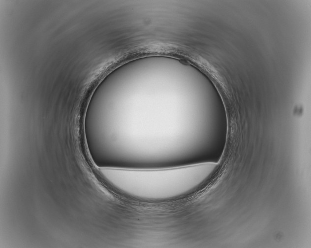 X0000091180581200708091048