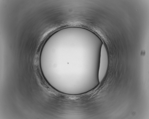 X0000091180583200708091048