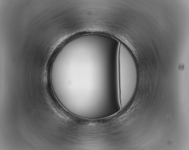 X0000091180584200708091048