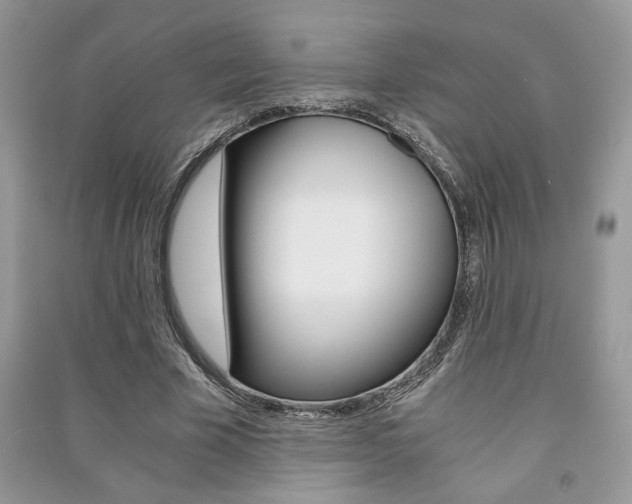 X0000091180585200708091048