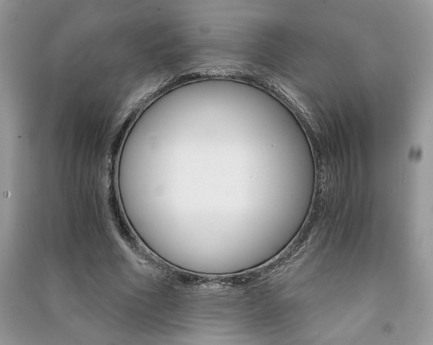 X0000091180586200708091048