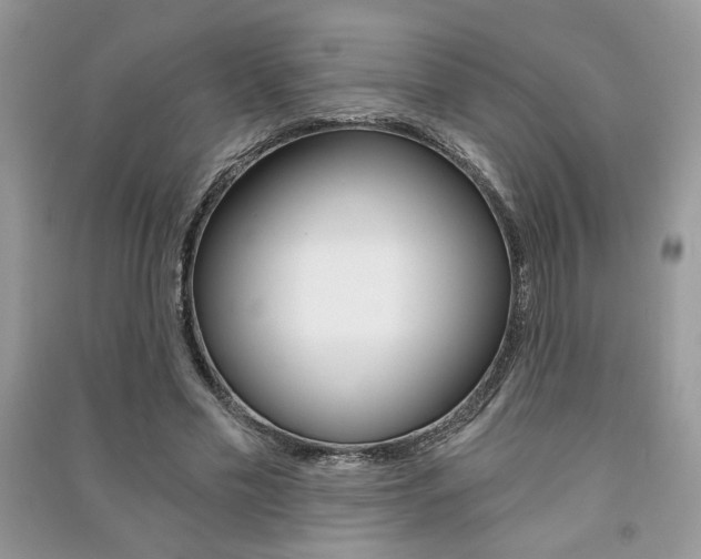 X0000091180589200708091047