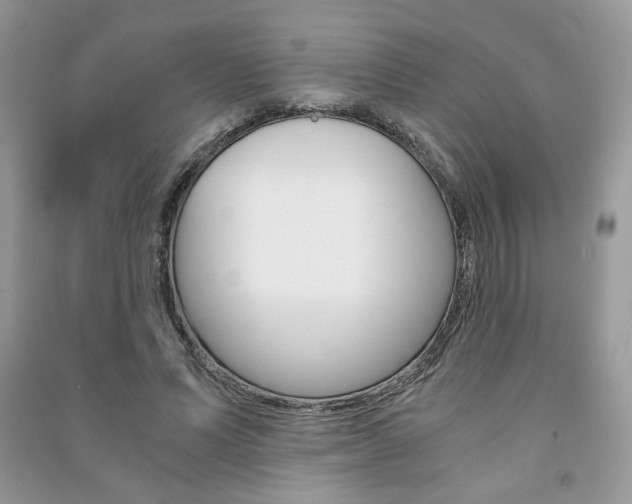 X0000091180591200708091047