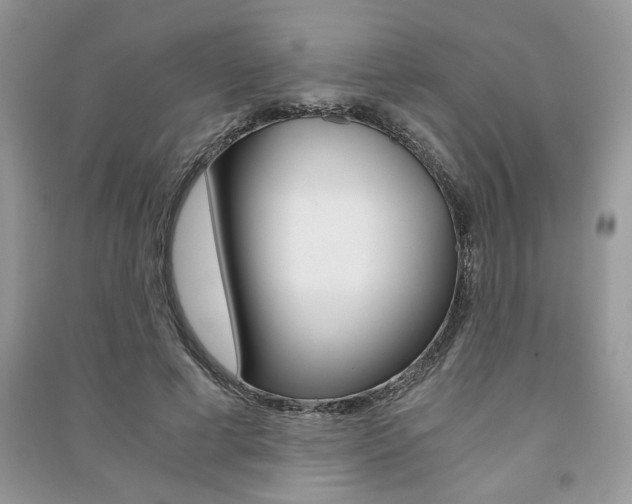 X0000091180593200708091047