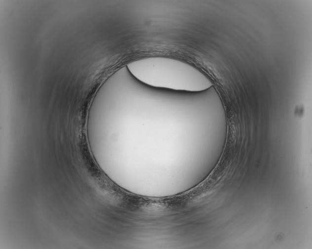 X0000091180594200708091047