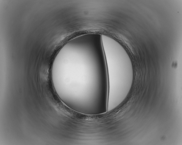 X0000091180596200708091047
