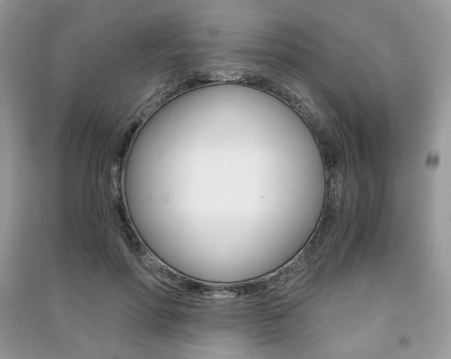 X0000091180598200708091047