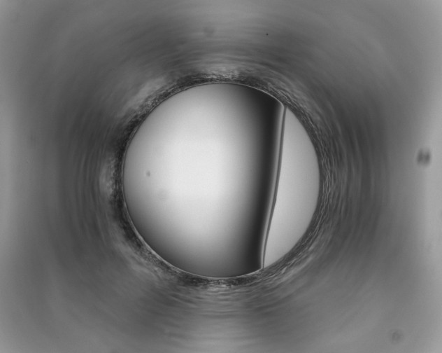 X0000091180600200708091047