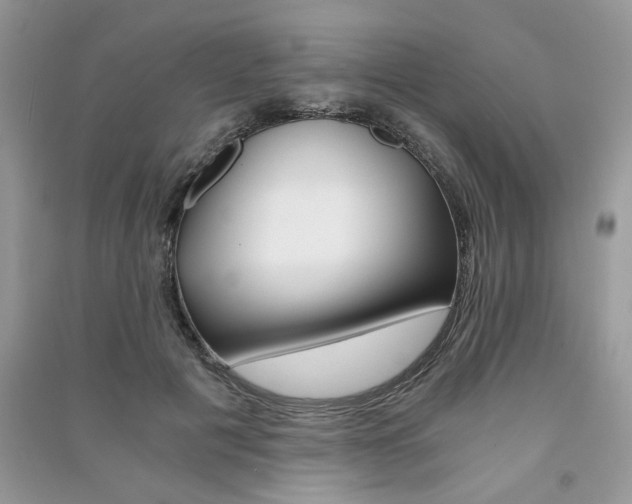 X0000091180601200708091047