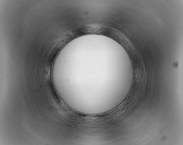 X0000091180602200708091047