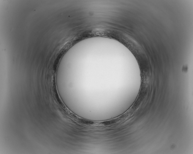 X0000091180603200708091047