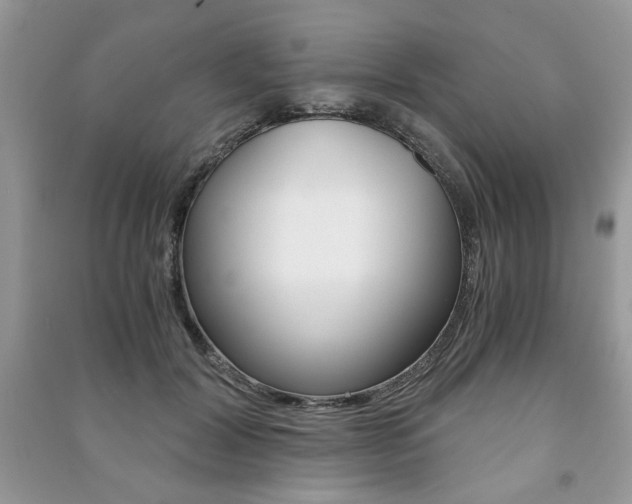 X0000091180604200708091047