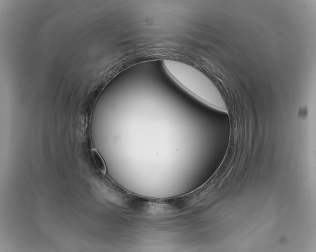 X0000091180605200708091047