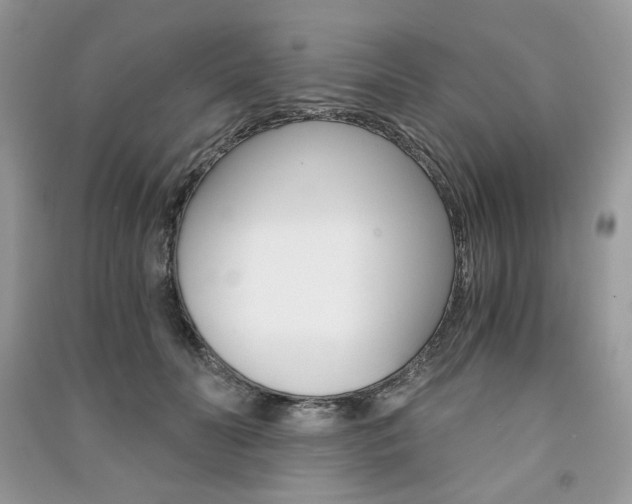 X0000091180606200708091047