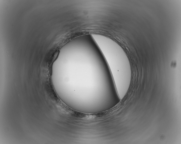 X0000091180609200708091047