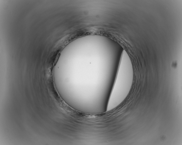 X0000091180611200708091047