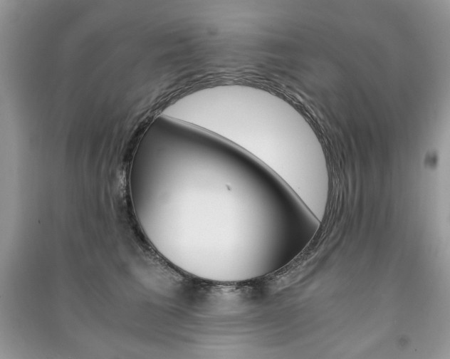X0000091180613200708091047