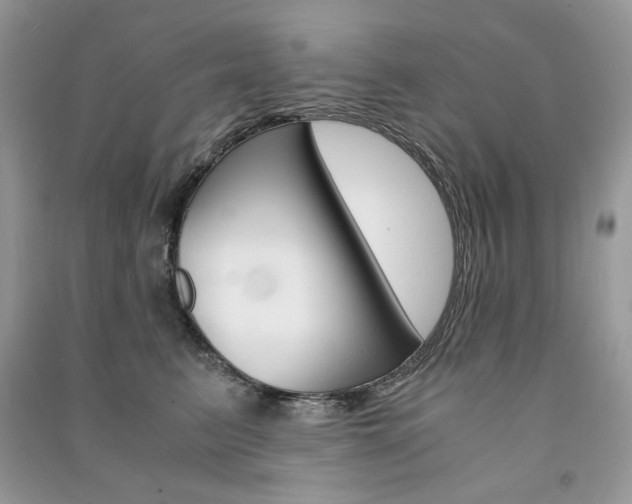 X0000091180615200708091047