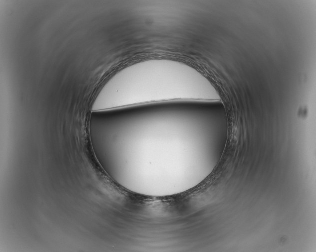 X0000091180616200708091047