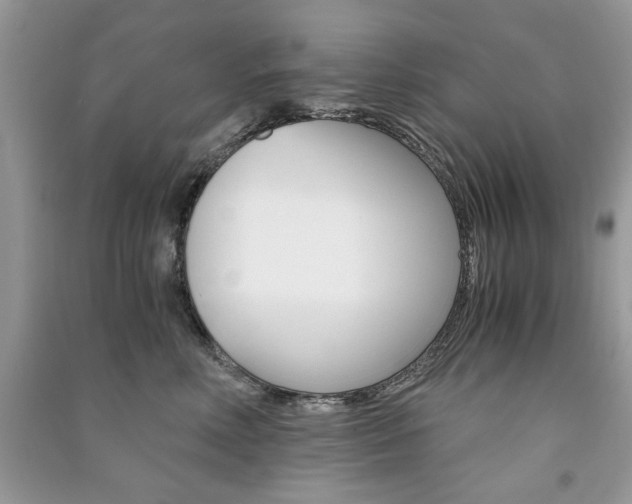 X0000091180618200708091047