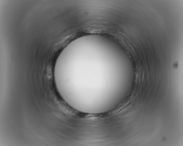 X0000091180620200708091047