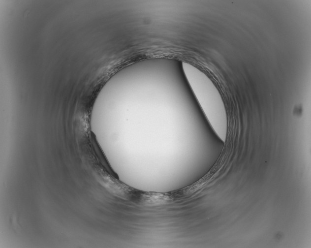 X0000091180621200708091047