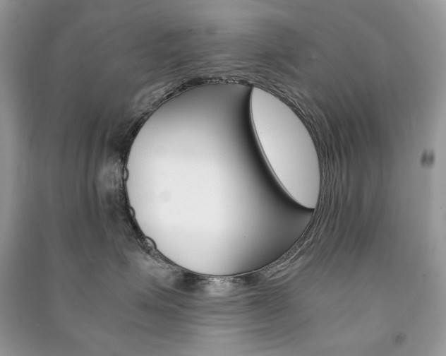 X0000091180623200708091047