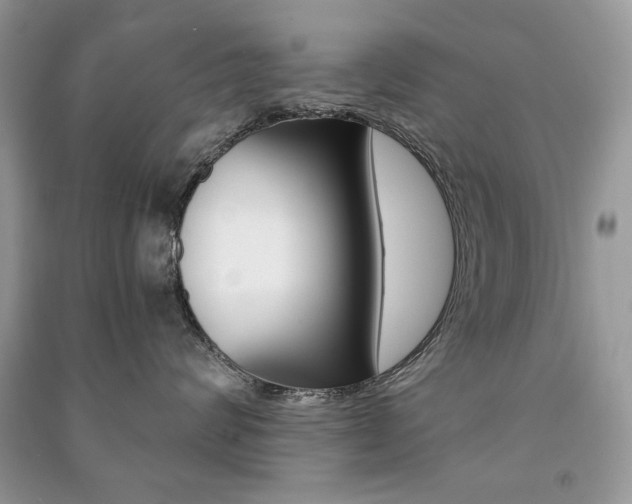 X0000091180624200708091047