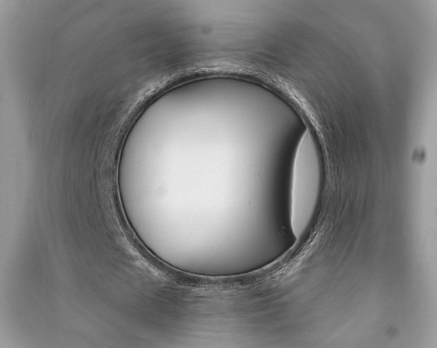 X0000091180625200708091046