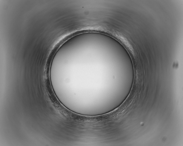X0000091180628200708091046