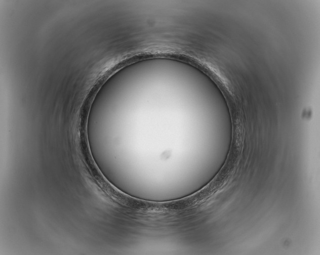 X0000091180631200708091047