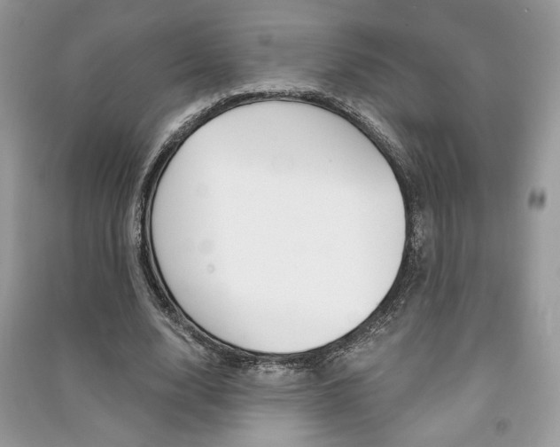 X0000091180632200708091047