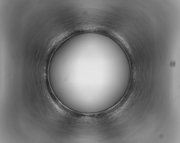 X0000091180633200708091047
