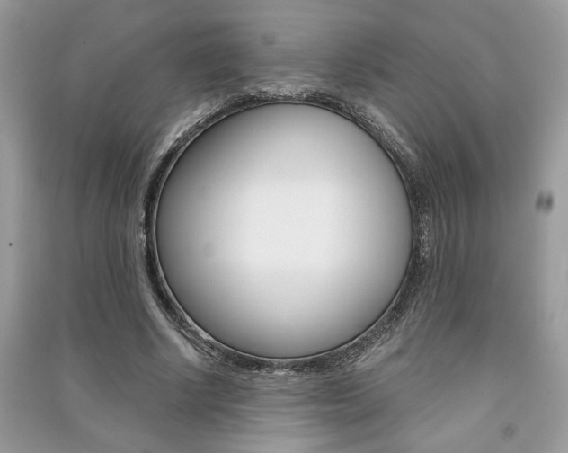 X0000091180634200708091047