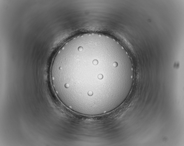 X0000091180635200708091047