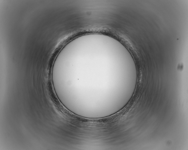 X0000091180636200708091047