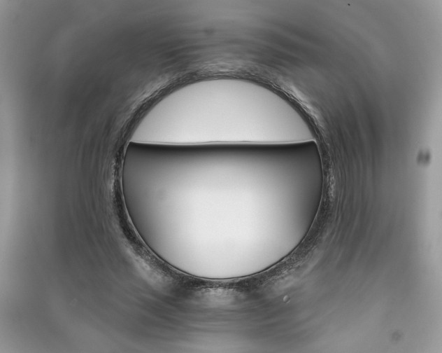 X0000091180637200708091047
