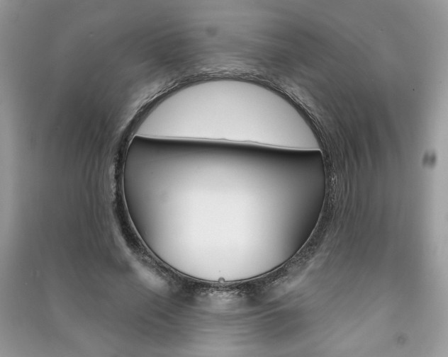 X0000091180638200708091047