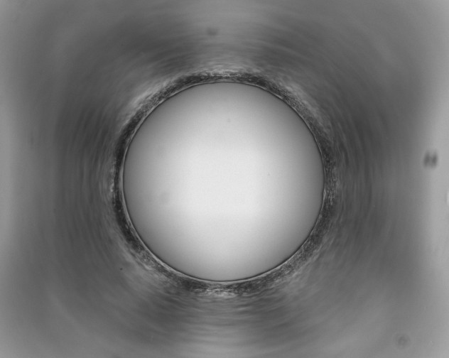 X0000091180640200708091047