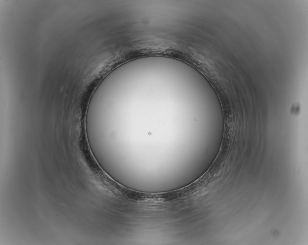 X0000091180642200708091047