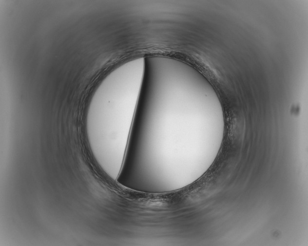 X0000091180643200708091047