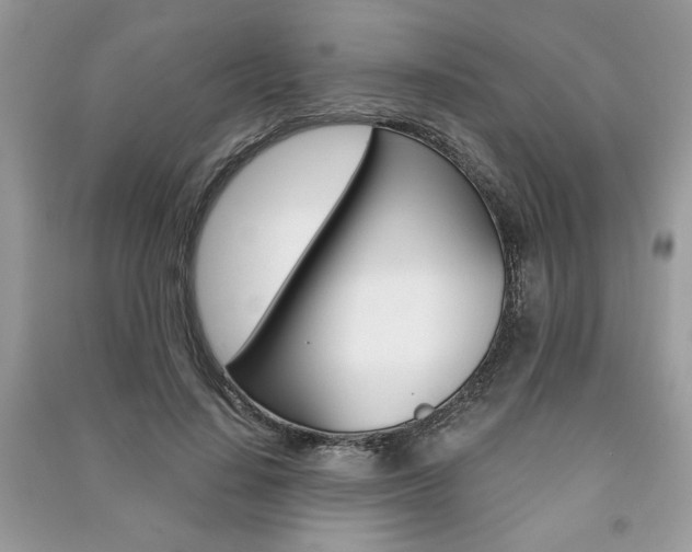 X0000091180644200708091047