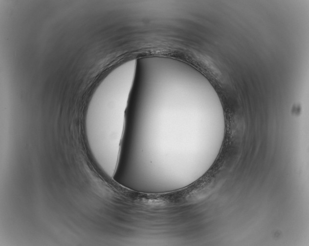 X0000091180645200708091047