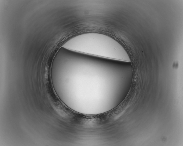 X0000091180646200708091047
