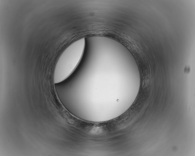 X0000091180647200708091047