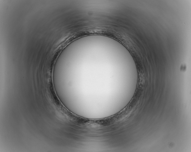 X0000091180648200708091047